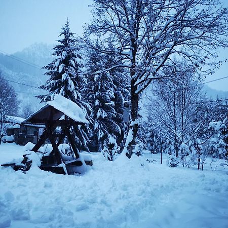 Cabana Valea Rea, Boga Boga  Dış mekan fotoğraf