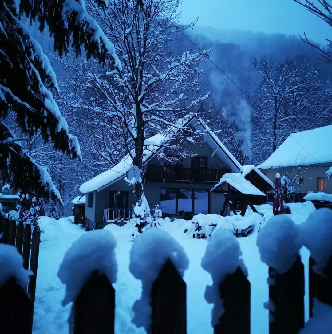 Cabana Valea Rea, Boga Boga  Dış mekan fotoğraf