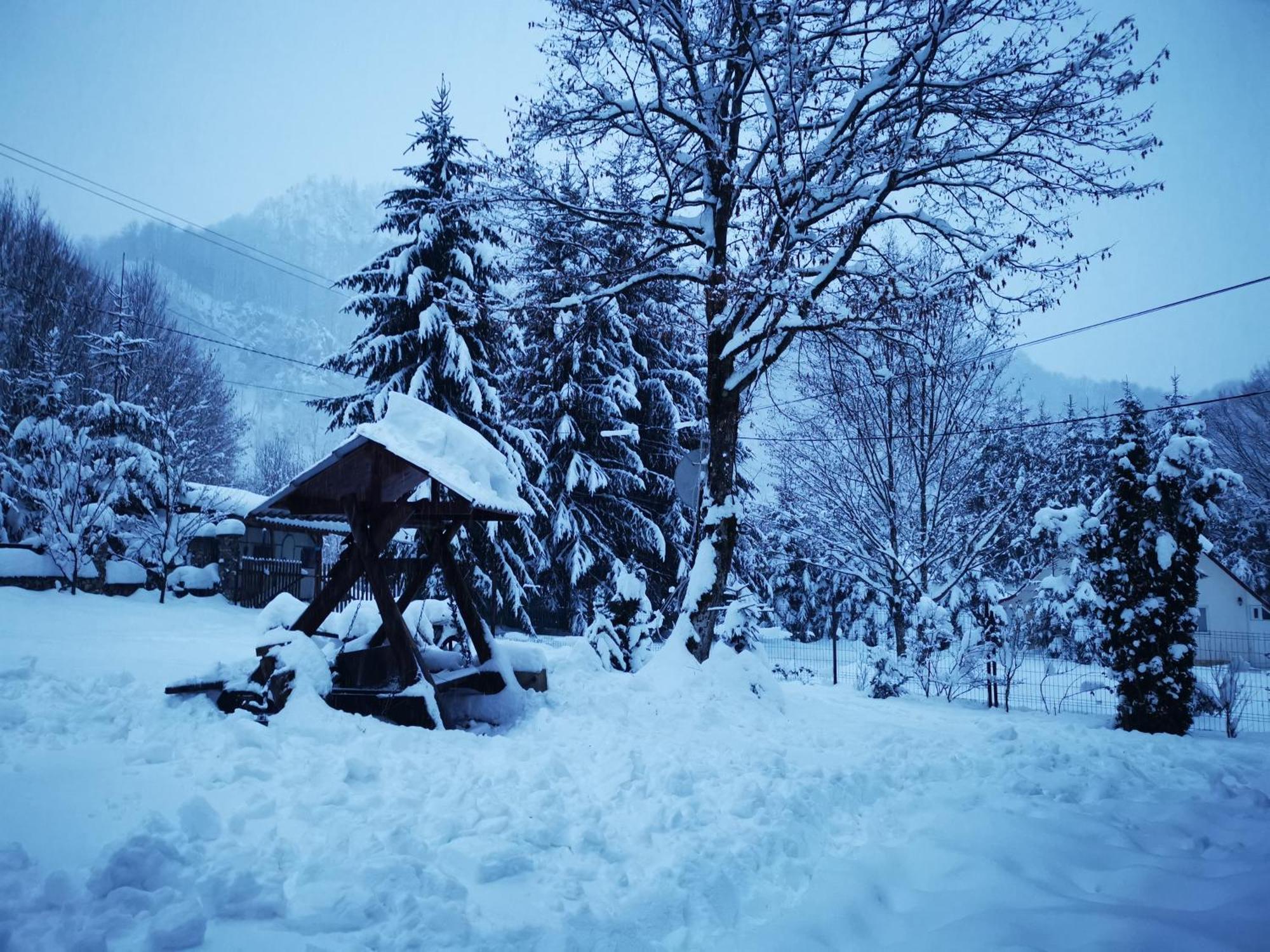 Cabana Valea Rea, Boga Boga  Dış mekan fotoğraf