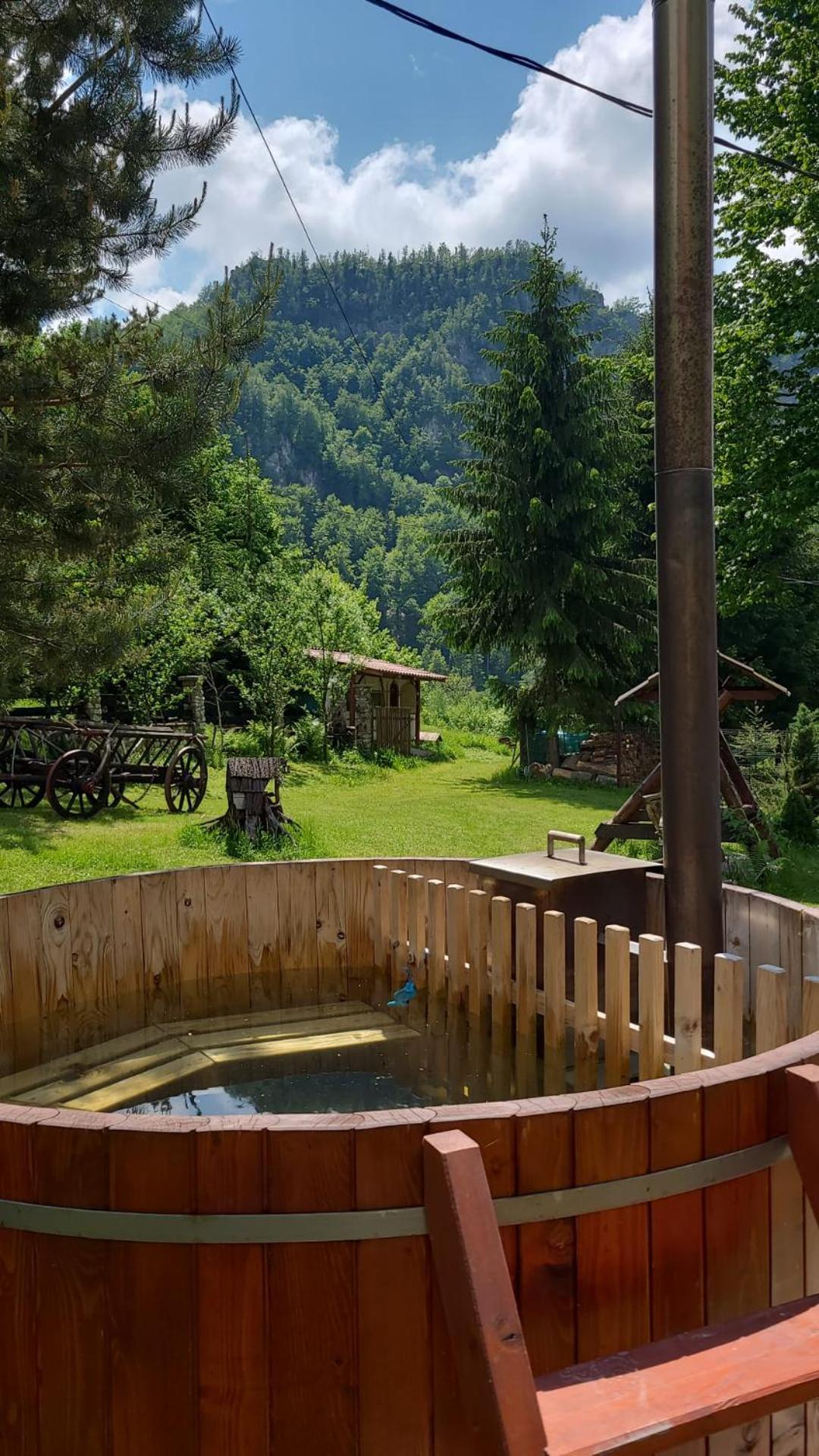 Cabana Valea Rea, Boga Boga  Dış mekan fotoğraf