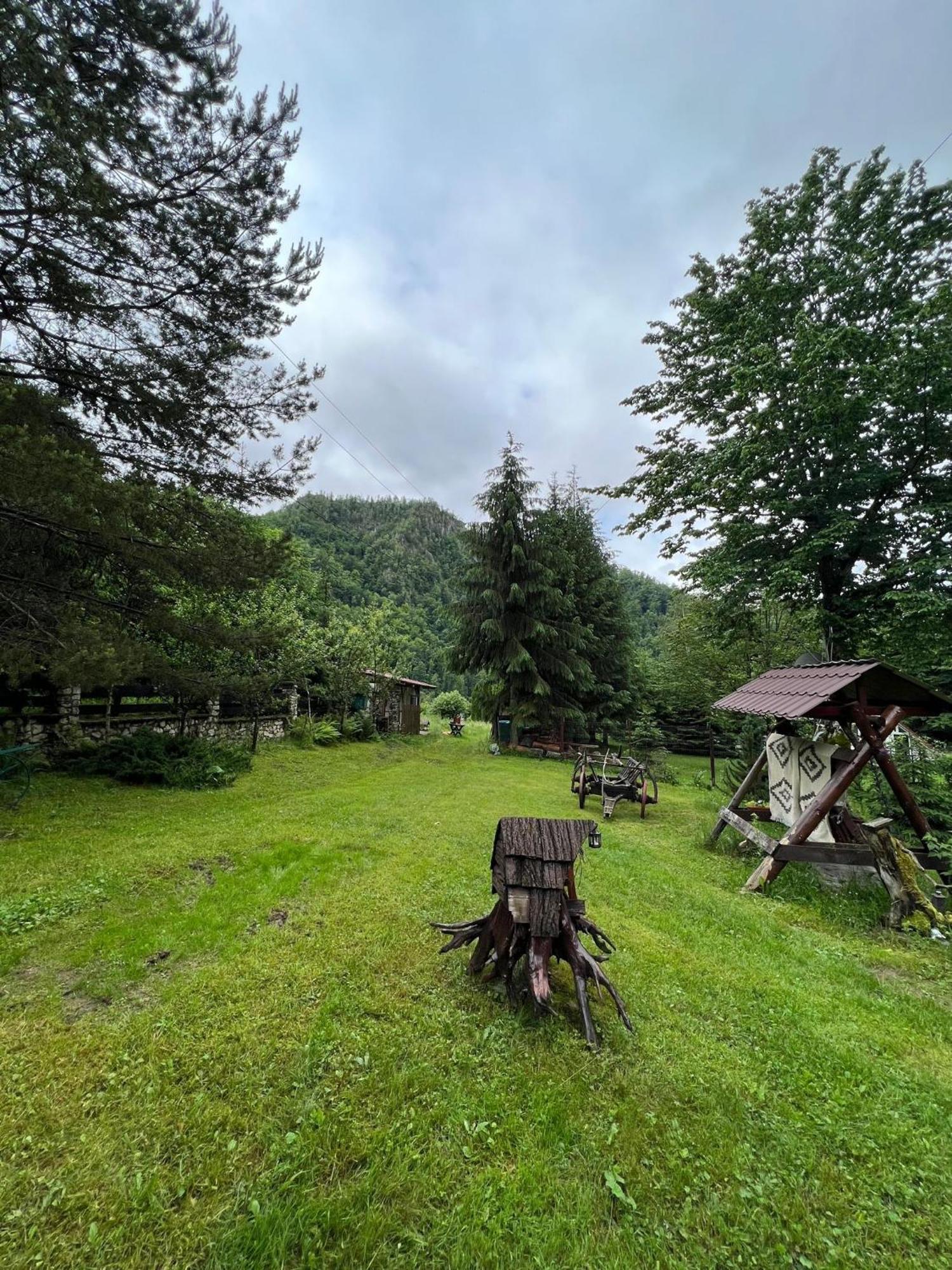 Cabana Valea Rea, Boga Boga  Dış mekan fotoğraf